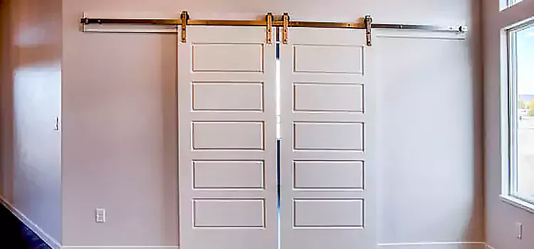 Glass Barn Door with Installation Hardware Kit Greenfield
