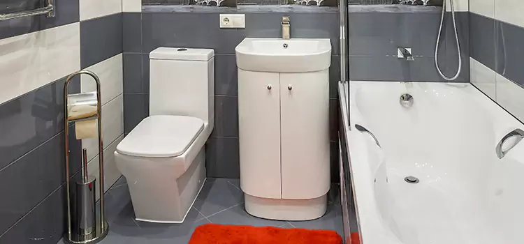 Hansgrohe Shaving Mirror Greenfield